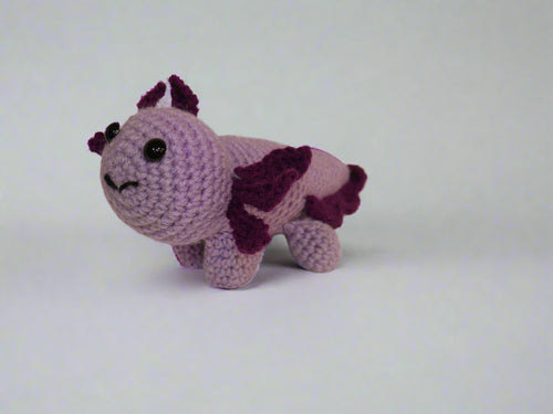 Axolotl