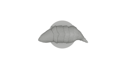 Bulette